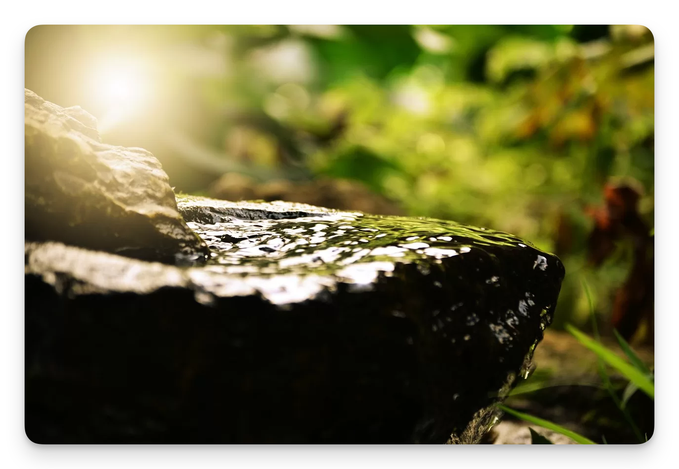 Rock