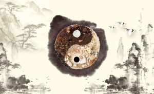 TCM David Lee Acupuncture